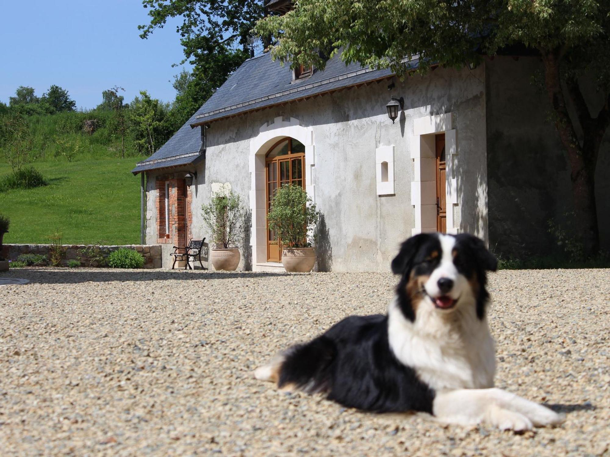 Gîte Cérans-Foulletourte-Cérans, 2 pièces, 6 personnes - FR-1-410-258 Esterno foto