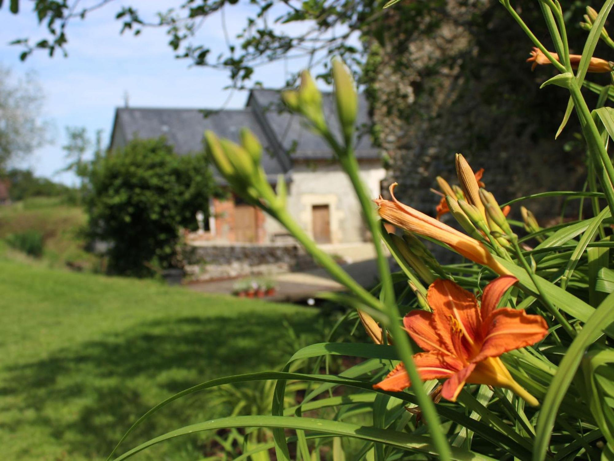 Gîte Cérans-Foulletourte-Cérans, 2 pièces, 6 personnes - FR-1-410-258 Esterno foto